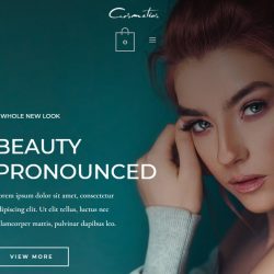 Demo Preview Website Toko Online Kosmetik Skincare